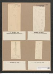 Pleurosigma var. brebissonii emtpy (de-Toni-Nr.: Genus 13, Species 1063) Zeichnungen Sammlung Grunow Nr. 1923 (NHMW-BOT-W0369050)